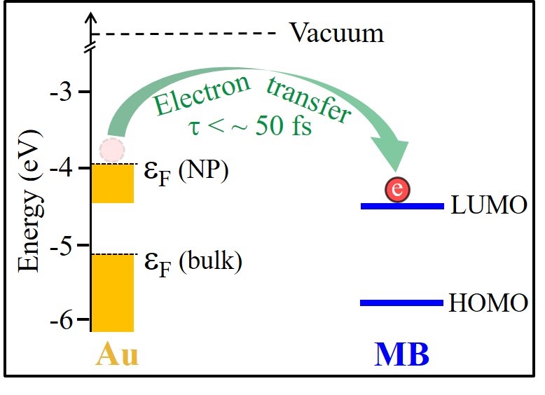 Ultrafast Electron Transfer at the Interface of Gold Nanoparticles and Methylene Blue Molecular Adsorbates